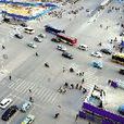 桐柏路(上海市普陀區道路)
