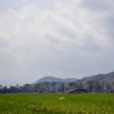大田沖村 大田沖村