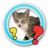 Guess The Animal Guess The Animal
