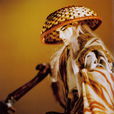 獨夜人 獨夜人