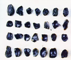 頂螄山遺址第一期玻璃隕石質細小石器