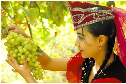 美麗的姑娘採摘葡萄