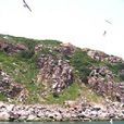 蛇島-老鐵山國家級自然保護區
