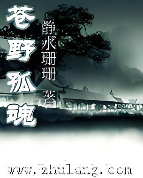 蒼野孤魂 蒼野孤魂