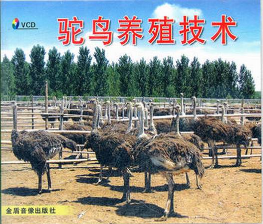 駝鳥養殖技術