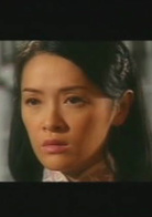 上海傳奇(2006年苗僑偉、向海嵐、黃宗澤主演電視劇)