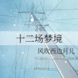 十二場夢境
