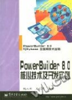 PowerBuilder8.0核心技術及開發實例