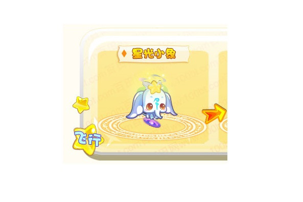 星光小象 星光小象