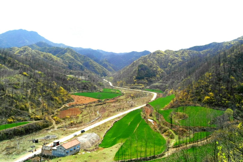 楊寺溝 楊寺溝