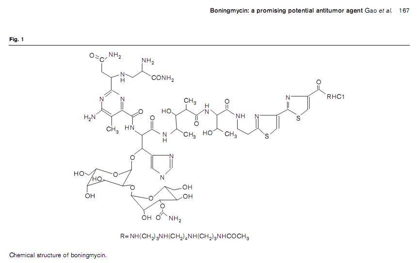 博寧黴素的化學結構式