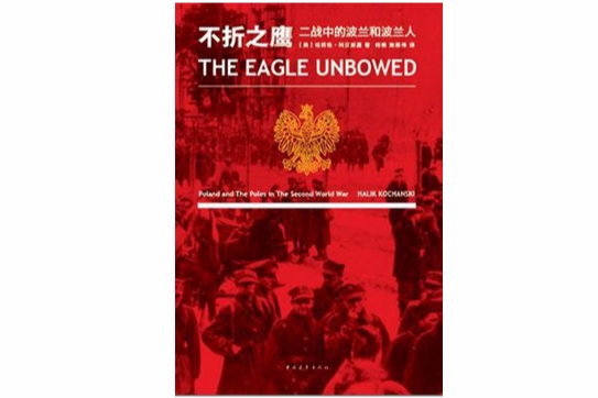 不折之鷹 不折之鷹