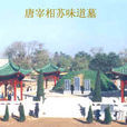 蘇邱 蘇邱