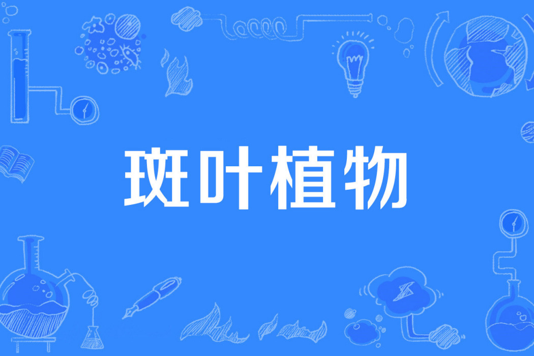 斑葉植物