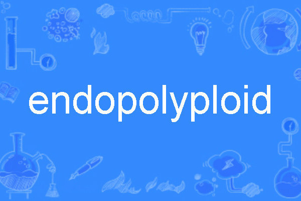 endopolyploid endopolyploid