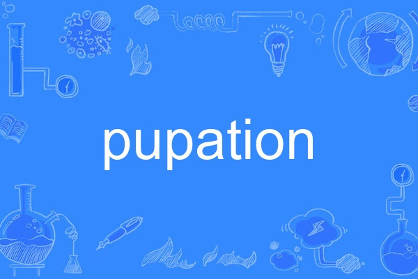 pupation pupation