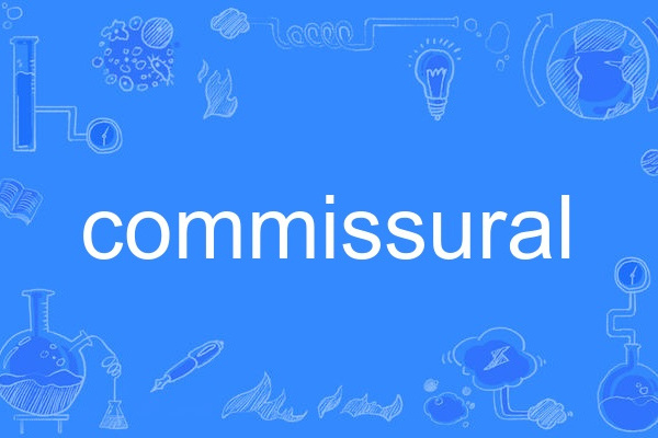 commissural commissural