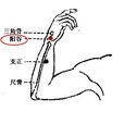 陽穀穴 陽穀穴