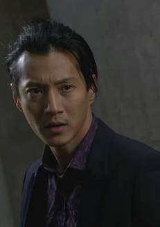 拳皇(2010年陳嘉上導演動作電影)