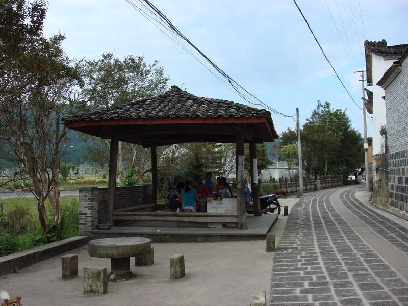 大莊村(雲南省騰衝市和順鎮大莊村)