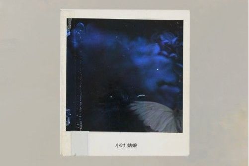 他是他 他是他