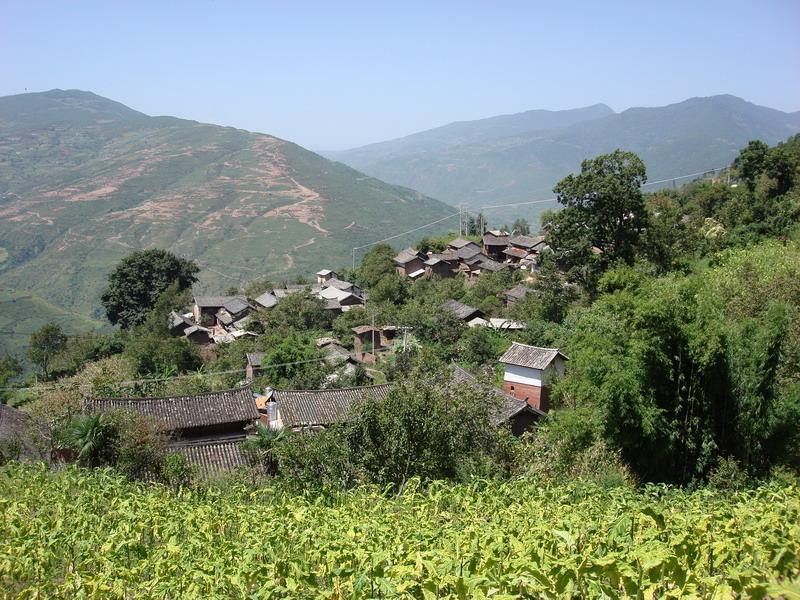 長腳村 長腳村