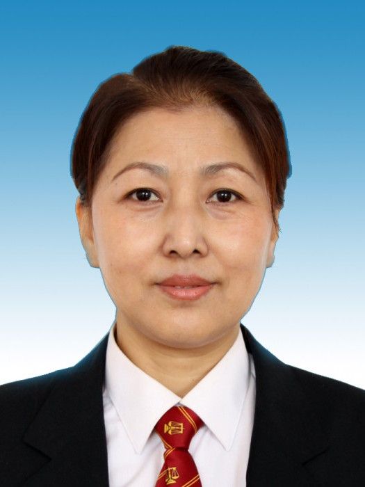 付艷(黑河市中級人民法院黨組成員、副院長) 付艷(黑河市中級人民法院黨組成員、副院長)
