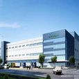 控股企業 控股企業