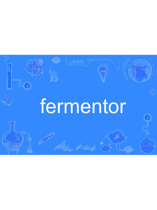fermentor fermentor
