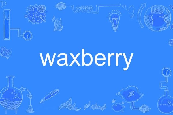 waxberry waxberry