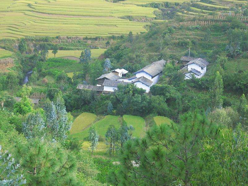 南坡腳村 南坡腳村