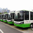 巡場公車 巡場公車