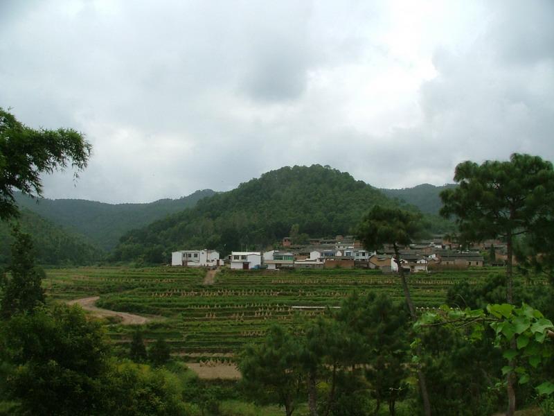 墨斗沖村 墨斗沖村