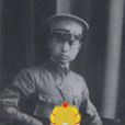何柏華 何柏華
