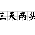 三天兩頭(漢語辭彙) 三天兩頭(漢語辭彙)