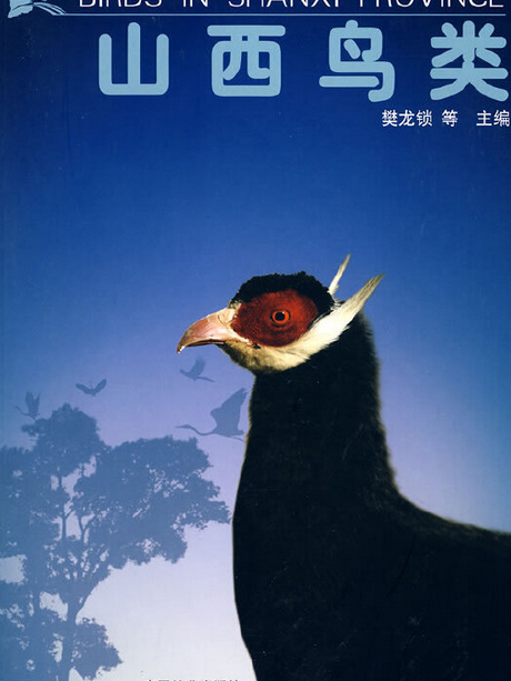 山西鳥類(2008年中國林業出版社出版的圖書) 山西鳥類(2008年中國林業出版社出版的圖書)