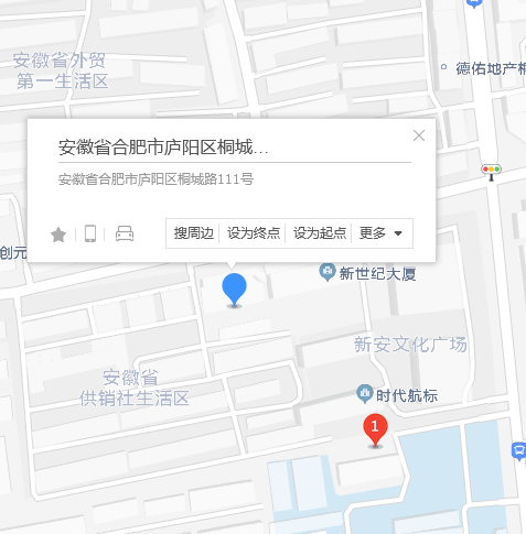 桐城路111號 桐城路111號