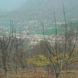 馬家壋村 馬家壋村