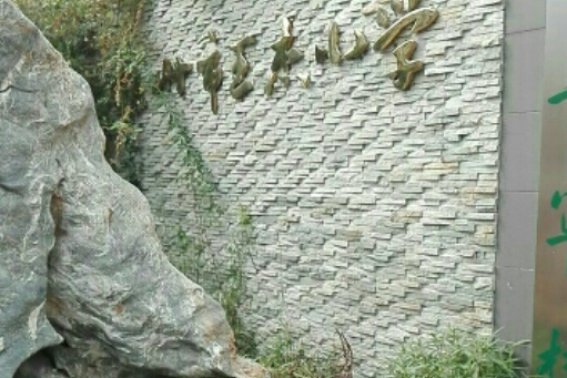 王傑國小 王傑國小