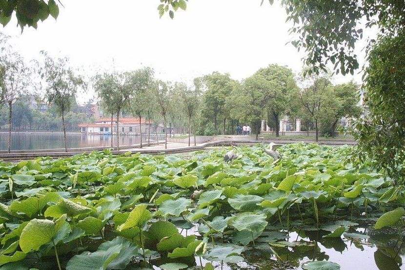 流潭公園 流潭公園