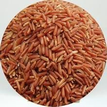 紅稻米