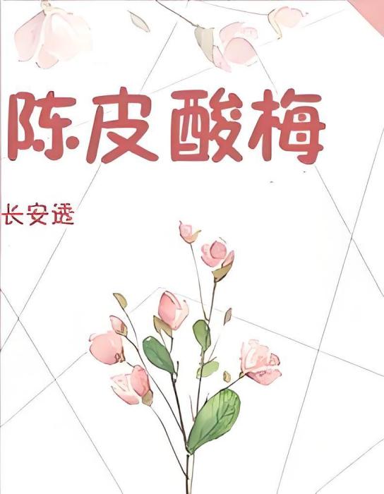 BL陳皮酸梅 BL陳皮酸梅