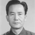 段更新 段更新