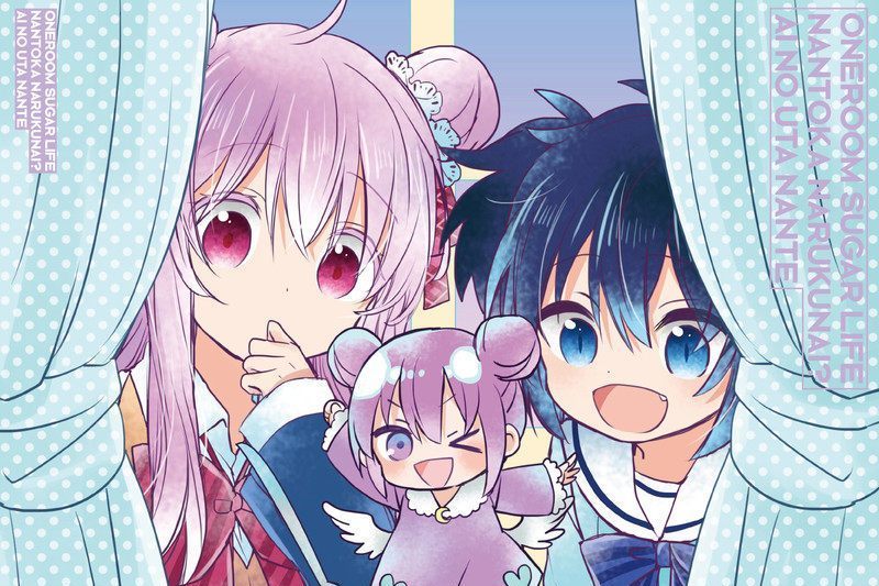 One Room Sugar Life One Room Sugar Life