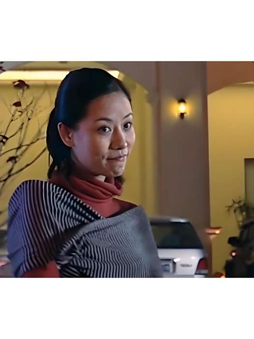 丹妮(懸疑劇《鑑證英雄》中的角色) 丹妮(懸疑劇《鑑證英雄》中的角色)