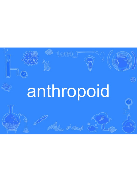 anthropoid