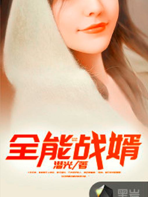 全能戰婿 全能戰婿