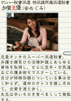 模範秘書(秘書的鏡子) 模範秘書(秘書的鏡子)