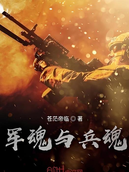 軍魂與兵魂 軍魂與兵魂