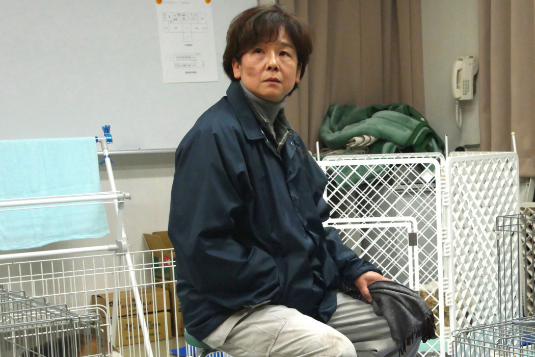 高野綾子 高野綾子